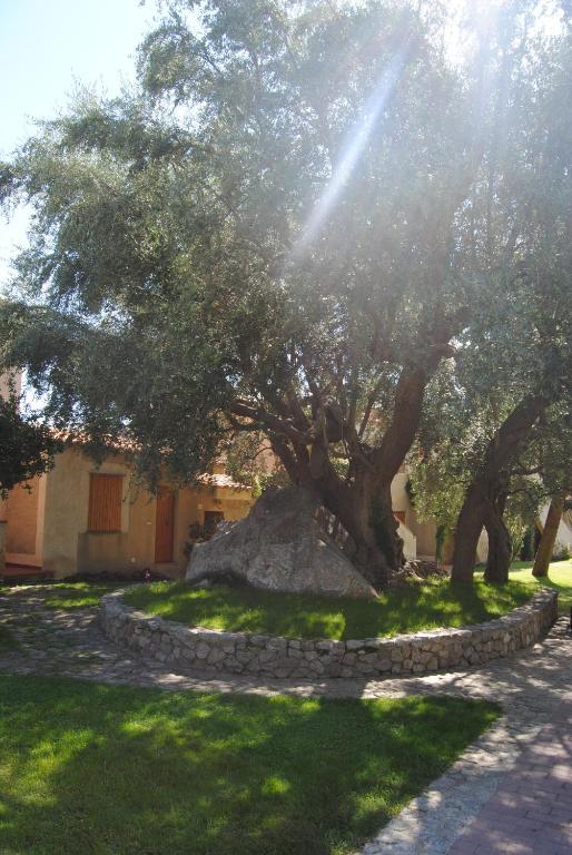 Villaggio L'Olivara Tropea Eksteriør bilde